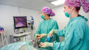 Basics of Hand Surgery: What You Need to Know